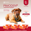 Pimoden 5 mg x Blíster